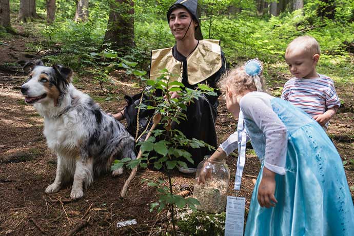 Pohádková cesta lesem opět ožije ve Velkých Karlovicích