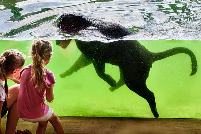 Magnet na turisty jménem Zoo Zlín. Opět se umístila v TOP 10 Česka